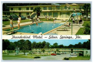 c1950's Pool and Parking View, Thunderbird Motel Silver Springs FL Postcard