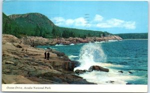 Postcard - Ocean Drive, Acadia National Park - Maine