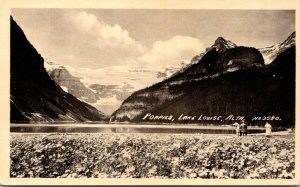 VINTAGE POSTCARD POPPIES BESIDE LAKE LOUISE ALBERTA CANADA PEOPLE SCENE