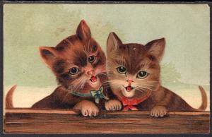 Two Cats BIN