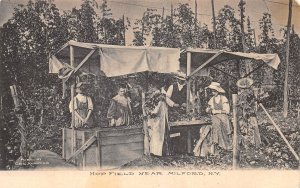 Milford New York Hop Field, B/W Lithograph Vintage Postcard U12260