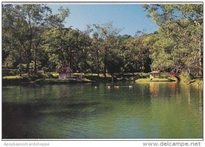 Brasil Petropolis Rj Crenerie Park