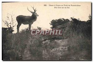 Old Postcard Hunting hounds in a Forest of Fontainebleau Ten Horns on his way...