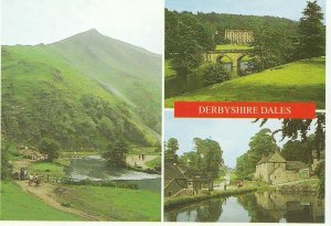 Derbyshire Postcard - Chatsworth - Thorpe Cloud - Dovedale - Tissington   AB905