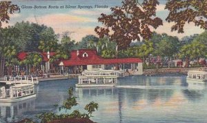 Florida Silver Springs Glass Bottom Boats At Silver Springs