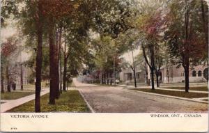 Victoria Avenue Windsor Ontario ON c1910 Postcard D68