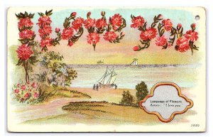 Language Of Flowers Astors I Love You Postcard