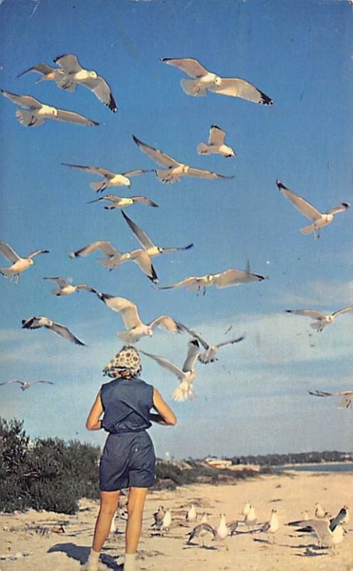 Gull Holiday Sea Gulls 1966 