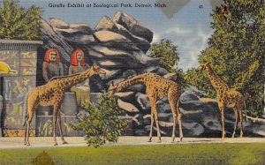 Giraffe Exhibit at Zoological Park Detroit, Michigan, USA Unused tape on edges