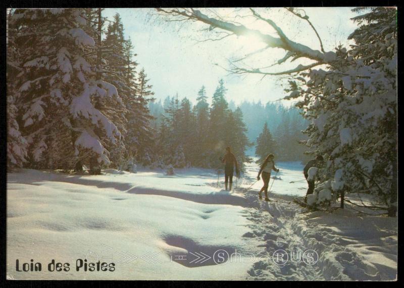 LOIN DES PISTES