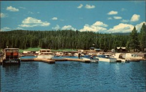 Yellowstone National Park Wyoming WY Bridge Bay Marina Boats Vintage Postcard