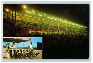 Vintage Daytona Beach Kennel Club, FL. Postcard F114E