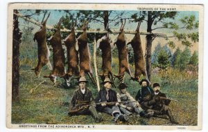 Trophies Of The Hunt, Greetings From The Adirondack Mts., N.Y.