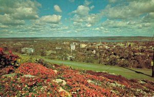 Canada Sam Lawrence Park Hamilton Ontario Vintage Postcard 03.56