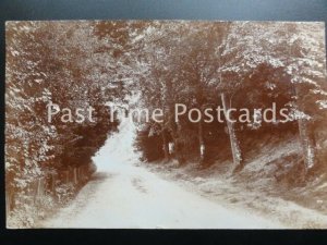 Wiltshire AMESBURY Country Lane c1907 RP Postcard by Photochrom Co