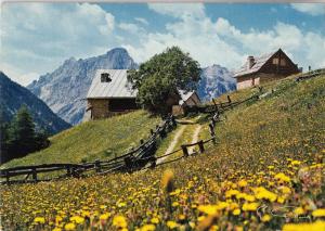 BF31764 les alpes le pintemps en montagne  france front/back image