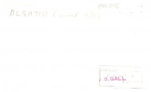 S.S. Alsatia, Cunard Line , Photo