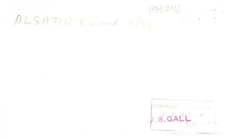 S.S. Alsatia, Cunard Line , Photo