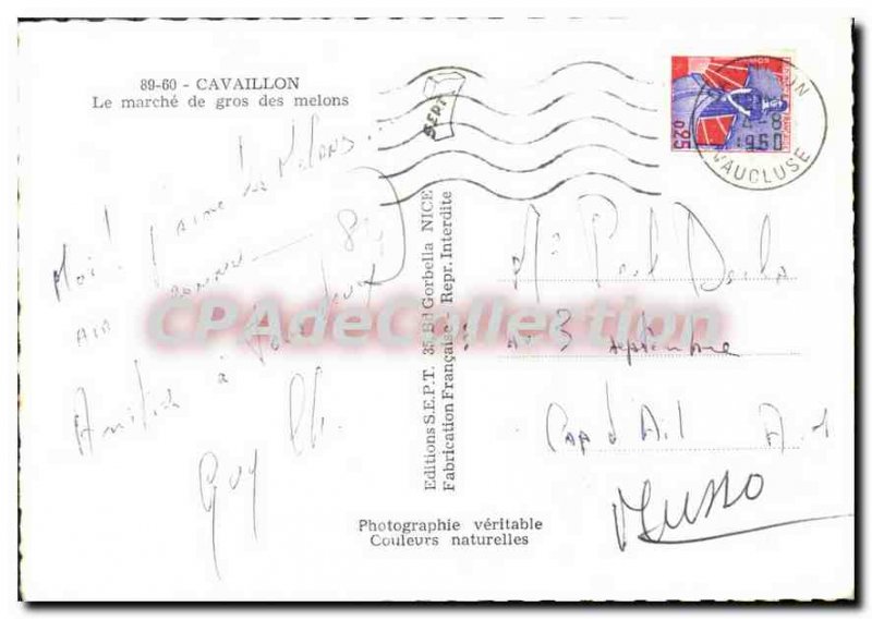 Postcard Modern Cavaillon wholesale market melons