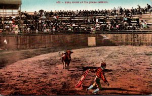 Corrida Bull Fight At Tijuana Mexico 1911