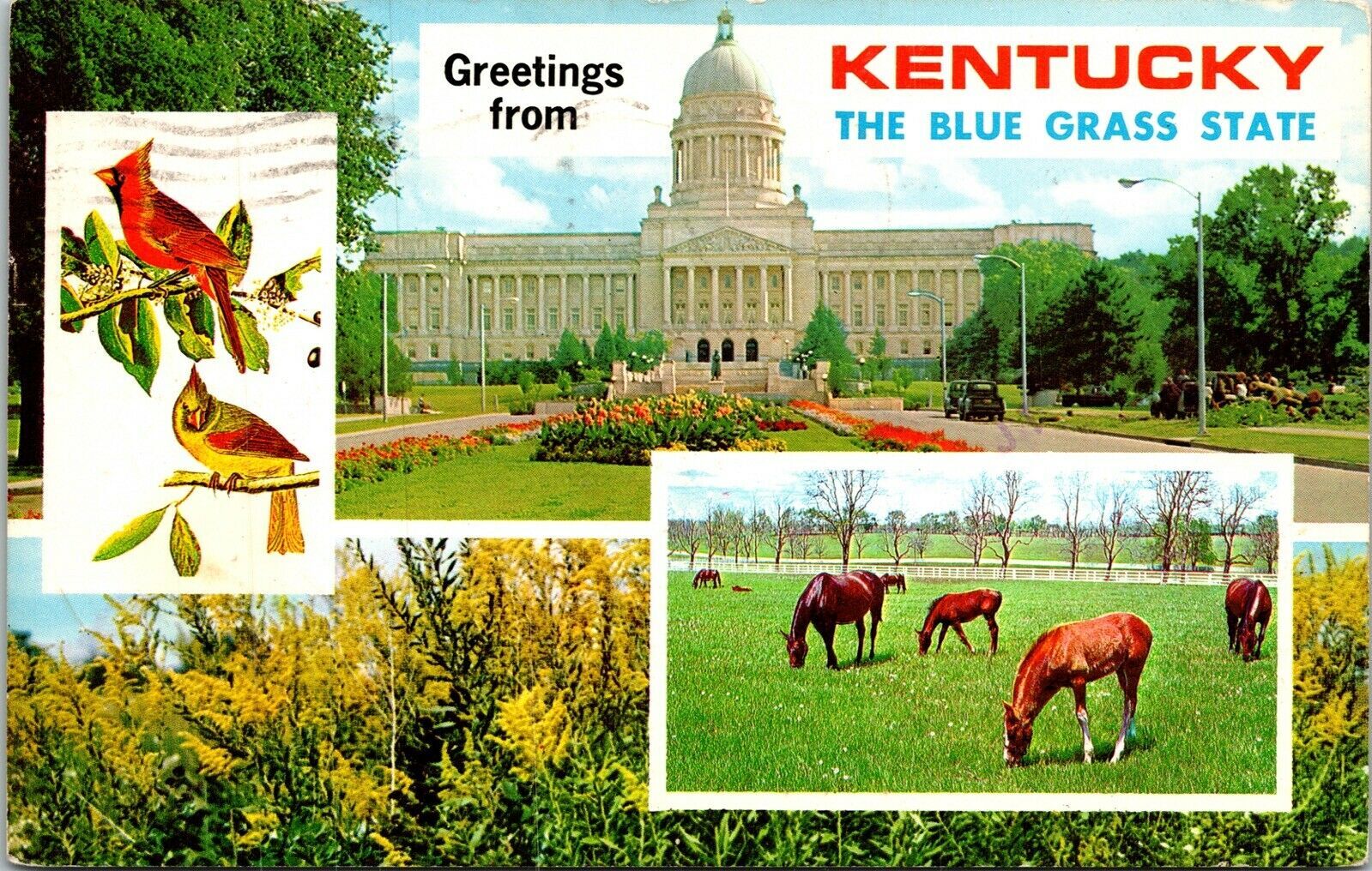 Greetings Kentucky Blue Grass State Multiview Postcard Pm Fort Campbell Ky Wob United States 7508