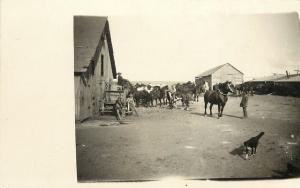 RPPC Postcard Horses, Border Collie & Men Getting Ready for Ranch Work Nebraska