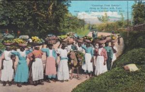 Greetings From Jamaica Native Women With Donkey Going To Market With Yams & C...