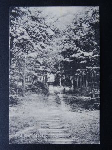 Oxfordshire CHINNOR West Down Steps - Old Postcard