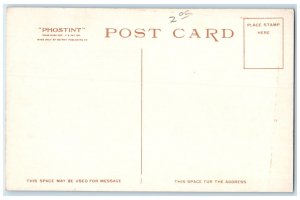 View Of Indian Woman Pueblo Of Isleta New Mexico NM Phostint Antique Postcard 