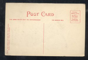 1908 NEW YORK ZOOLOGICAL PARK AMERICAN EAGLE EAGLES VINTAGE POSTCARD