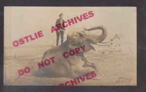 rppc c1910 CIRCUS ELEPHANT Act WOMAN TRAINER Trunk Up RIDING ON BACK Standing Up