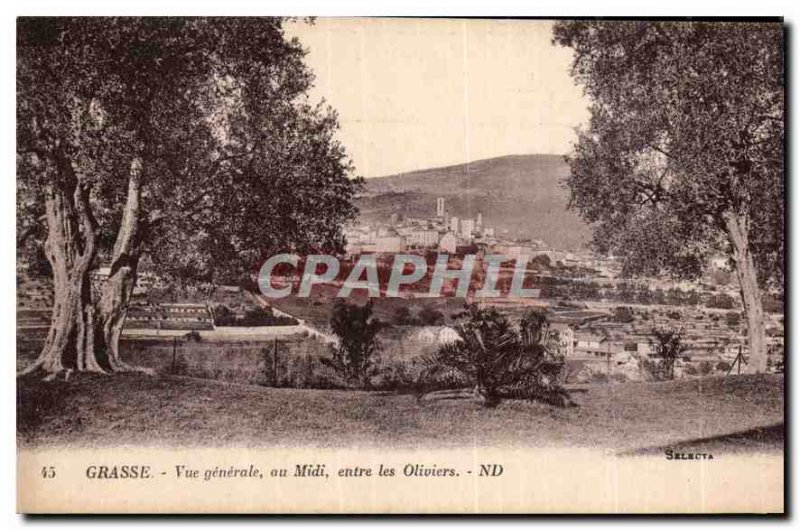 Old Postcard Grasse general view to the south between the Olives