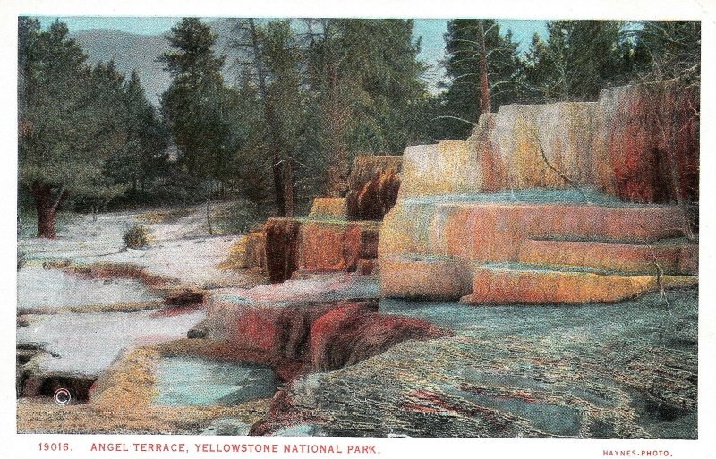 VINTAGE POSTCARD ANGEL TERRACE AT YELLOWSTONE NATIONAL PARK