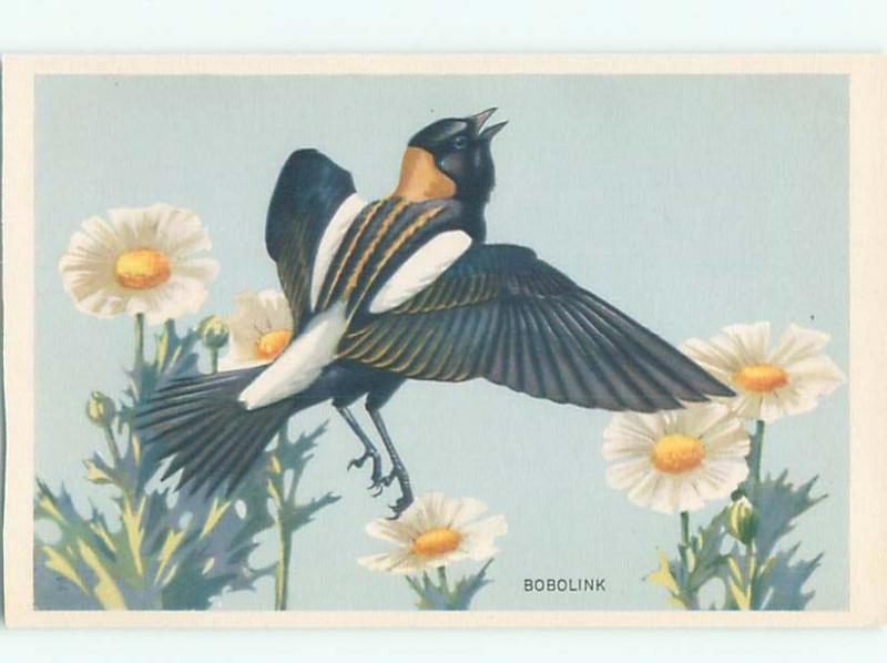 Pre-1980 BOBOLINK BIRD AC7102