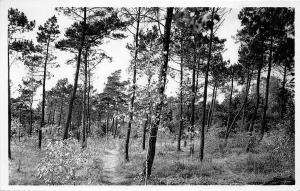 B94965 knokke zoute la sapiniere belgium real photo