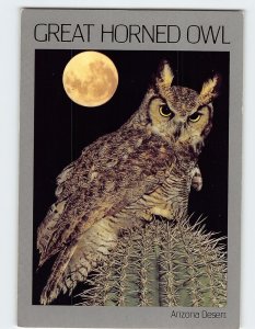 Postcard Great Horned Owl, Arizona Desert, Arizona