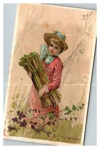 Vintage 1890's Victorian Trade Card Arbuckle Brothers Ariosa Coffee New York