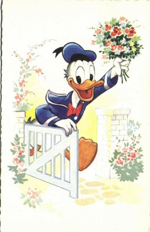 Walt Disney Productions, Donald Duck (1961)