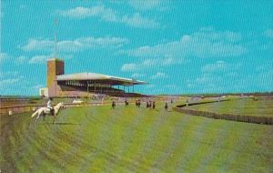 New Jersey Atlantic City Race Course Horse Racing