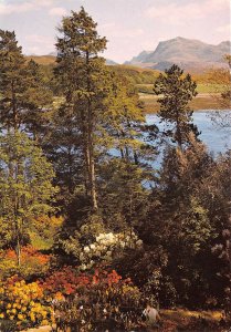 uk46744 beinn airigh charr from inverewe gardens poolewe ross shire scotland uk