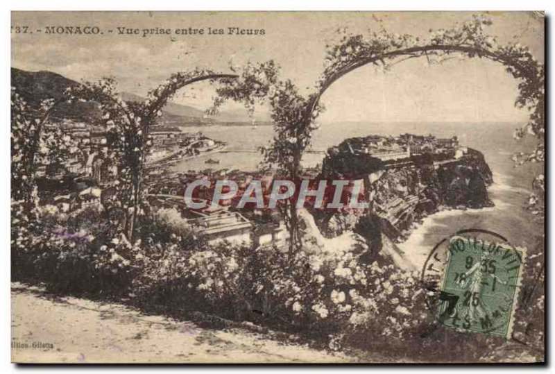 Old Postcard Monaco View between flowers taken