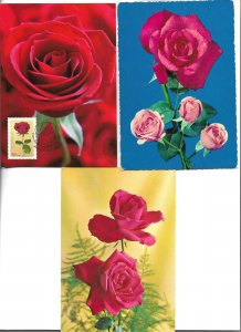 Beautiful roses Lot of THREE (3) modern Spanish postcards 1970s