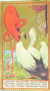 1870's-80's Ficus Carica, Laxative, Pink Flamingo Victorian Trade Card P64