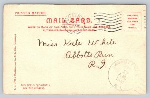 1903 Whirlpool Rapids Niagara Falls Hand-Colored Rotograph Postcard Posted