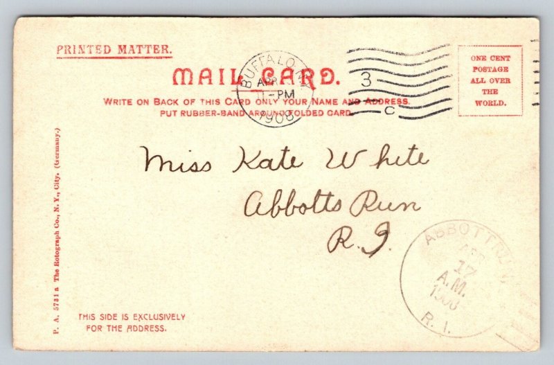 1903 Whirlpool Rapids Niagara Falls Hand-Colored Rotograph Postcard Posted