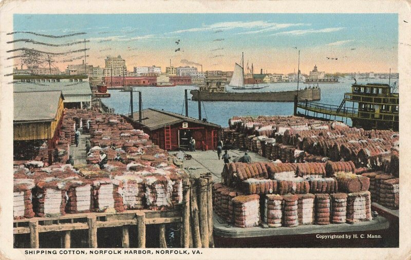 Postcard 1915 Shipping Cotton, Norfolk Harbor, Norfolk, Virginia ME8.