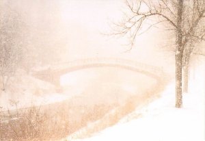 Bradley Crossing, By Larry Kanfer 