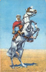 A617 Algeria 1914 Fantasia Ethnic Bedouin Man Riding Horse postcard