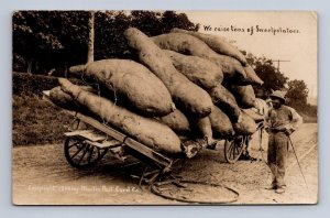 RPPC SWEET POTATOES WISCONSIN MARTIN EXAGGERATION STUDIO REAL PHOTO POSTCARD '10