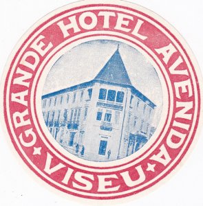 Portugal Viseu Grande Hotel Avenida Vintage Luggage Label sk2748